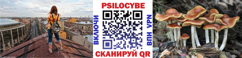 Галлюциногенные грибы мухоморы  Донской 